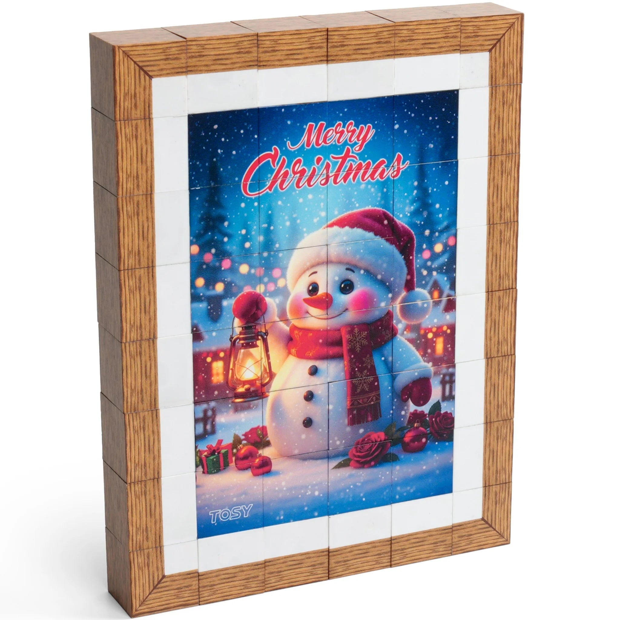 TOSY Picture Cube Frosty Friends