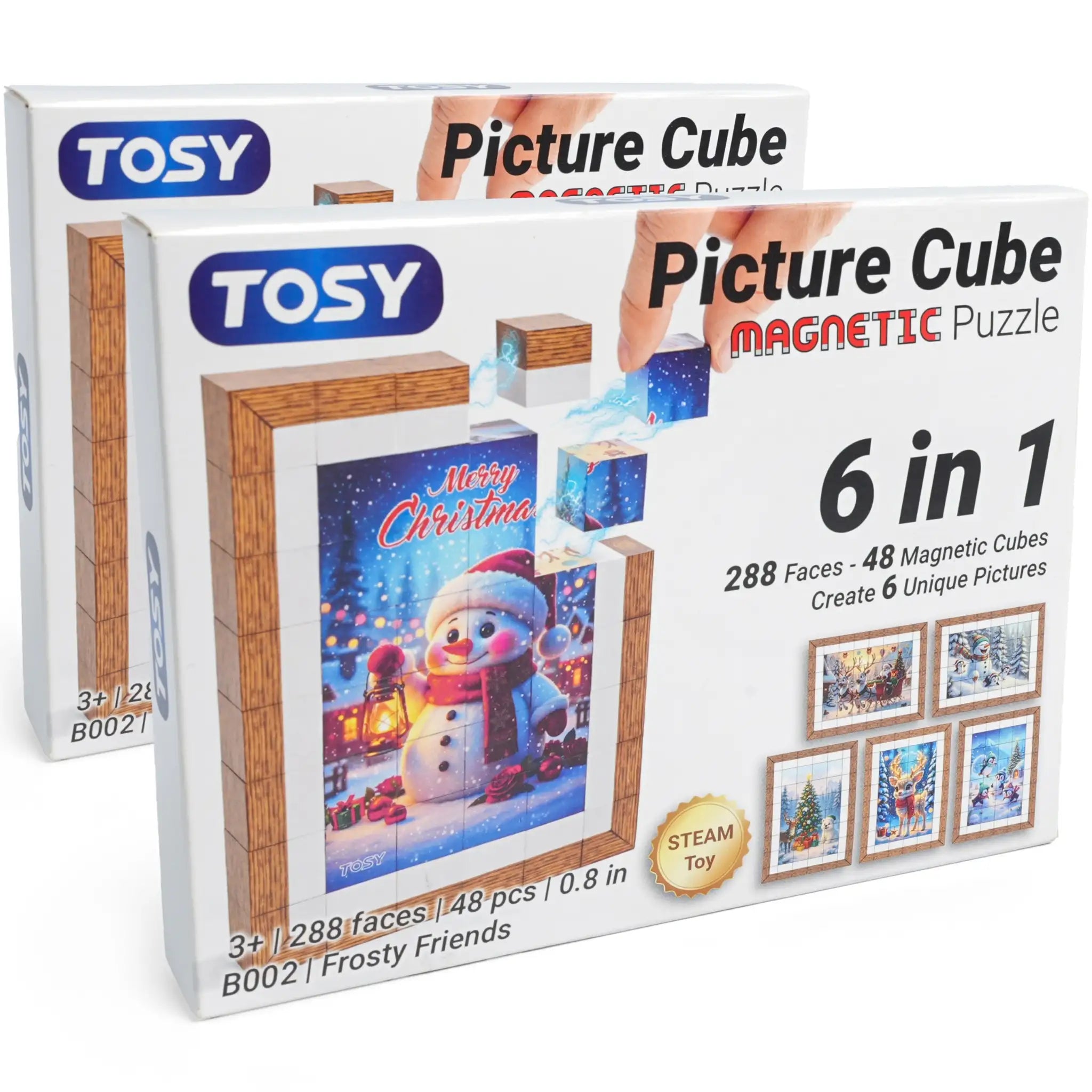 TOSY Picture Cube Frosty Friends - 2 Pack