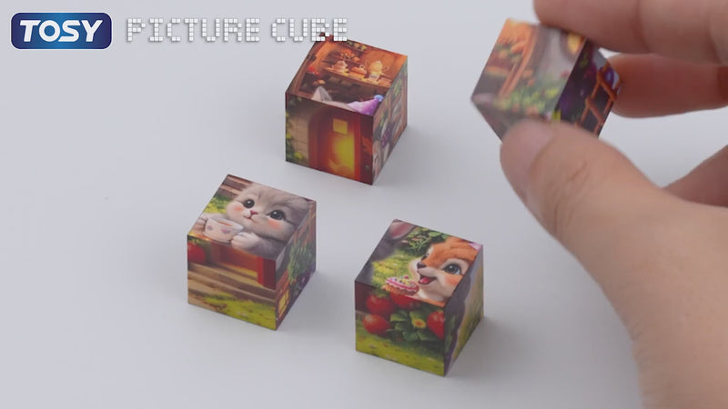 Demonstration of TOSY Picture Cube Fruity Wonderland magnetic blocks shape-shifting into 6 different artworks on display
