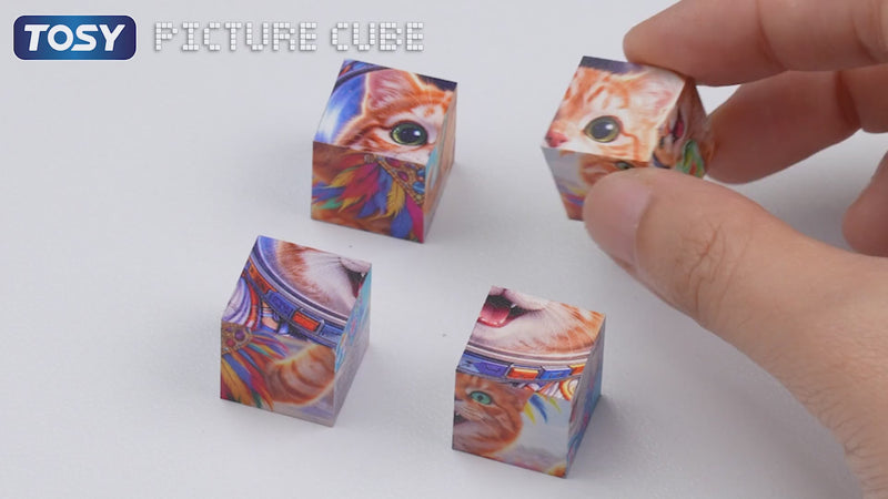 TOSY Picture Cube Adventure Cats puzzle video showcasing 6-in-1 image transformation and room decoration display