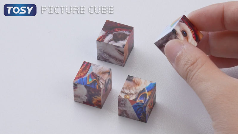 Demonstration of TOSY Picture Cube Action Dogs shape-shifting magnetic puzzle transforming into 6 cute dogs artworks on display